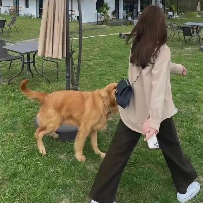 我们的歌手2017