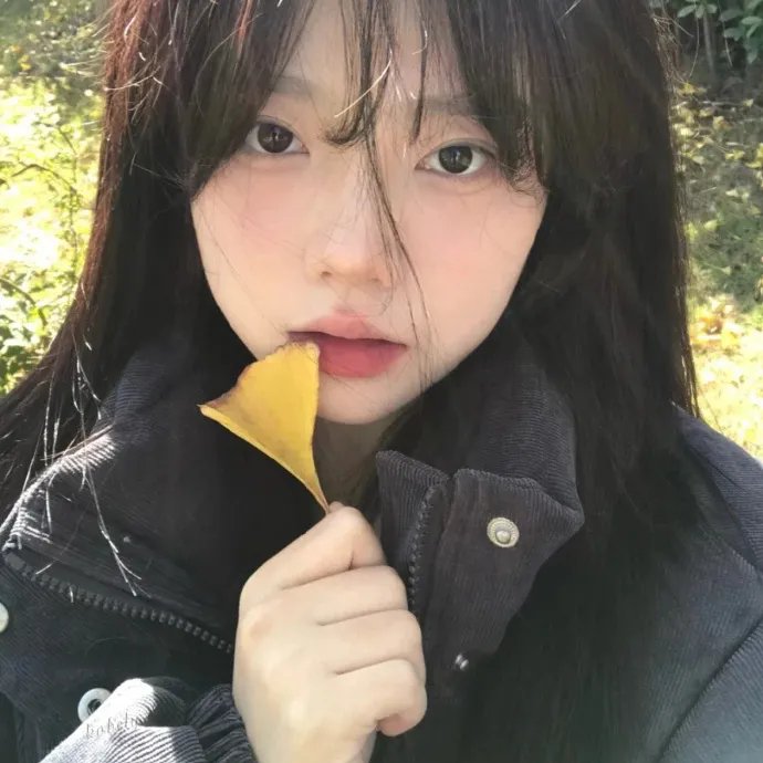 霍莉