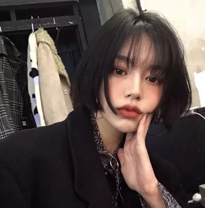 乌鼠机密档案